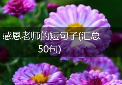 感恩老师的短句子(汇总50句)