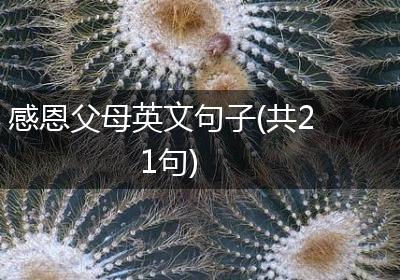 感恩父母英文句子(共21句)