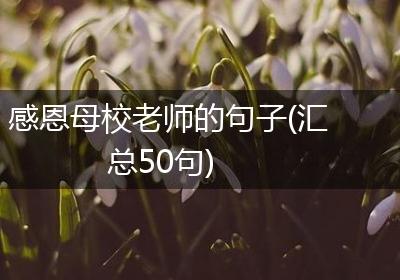 感恩母校老师的句子(汇总50句)