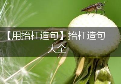 【用抬杠造句】抬杠造句大全