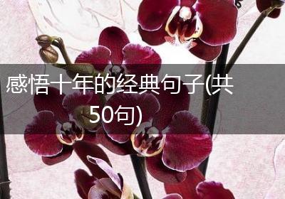 感悟十年的经典句子(共50句)