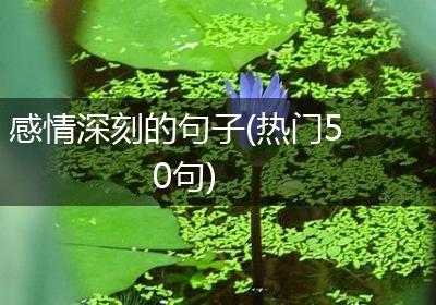 感情深刻的句子(热门50句)