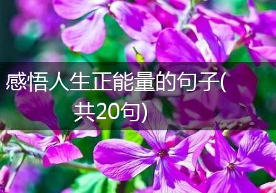 感悟人生正能量的句子(共20句)