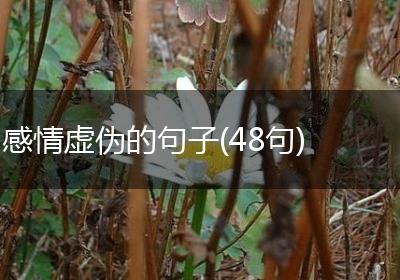 感情虚伪的句子(48句)