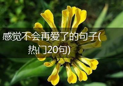 感觉不会再爱了的句子(热门20句)