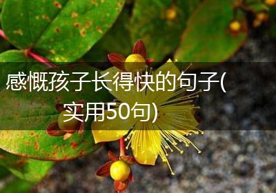 感慨孩子长得快的句子(实用50句)