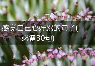 感觉自己心好累的句子(必备30句)
