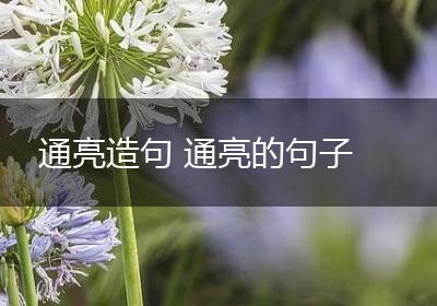 通亮造句 通亮的句子