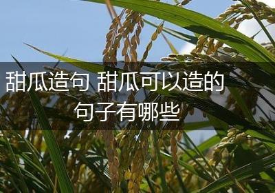 甜瓜造句 甜瓜可以造的句子有哪些