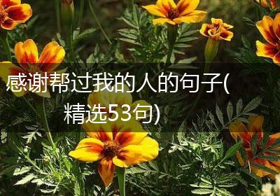 感谢帮过我的人的句子(精选53句)