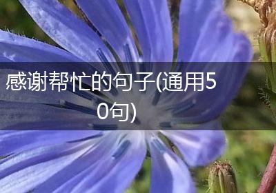 感谢帮忙的句子(通用50句)
