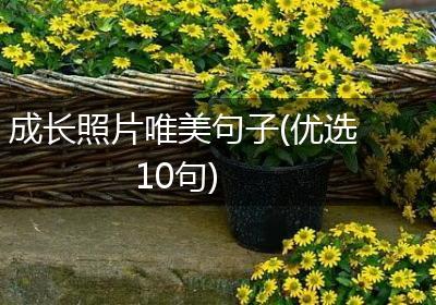 成长照片唯美句子(优选10句)