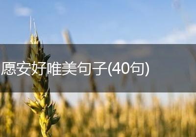 愿安好唯美句子(40句)