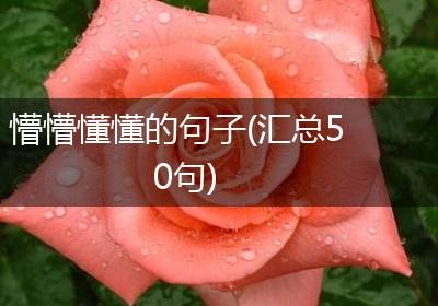 懵懵懂懂的句子(汇总50句)