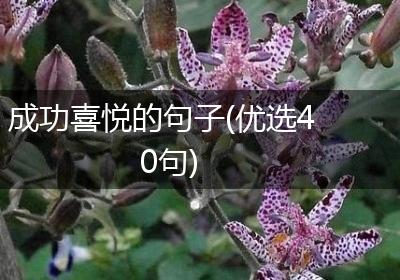 成功喜悦的句子(优选40句)