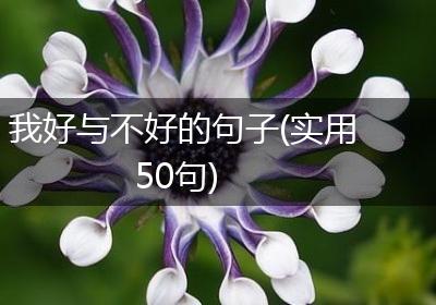我好与不好的句子(实用50句)