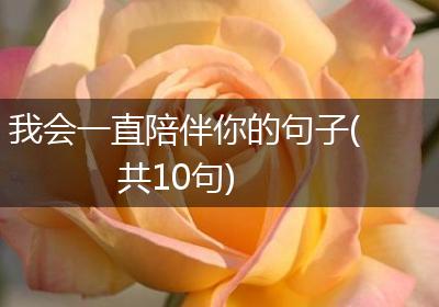 我会一直陪伴你的句子(共10句)