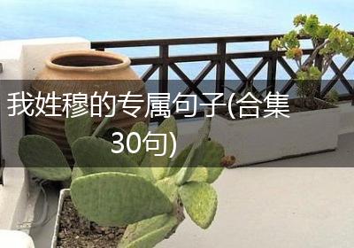 我姓穆的专属句子(合集30句)