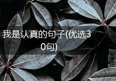 我是认真的句子(优选30句)