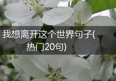 我想离开这个世界句子(热门20句)