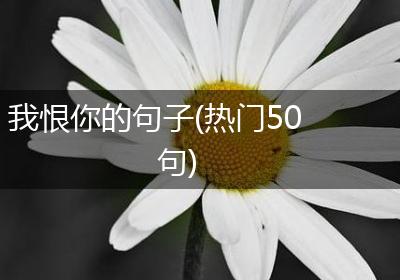 我恨你的句子(热门50句)