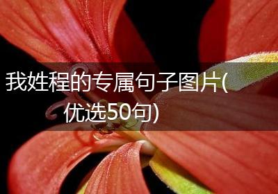 我姓程的专属句子图片(优选50句)