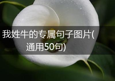 我姓牛的专属句子图片(通用50句)