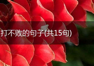 打不败的句子(共15句)