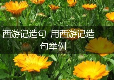 西游记造句_用西游记造句举例