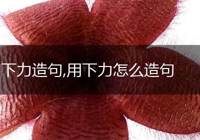 下力造句,用下力怎么造句