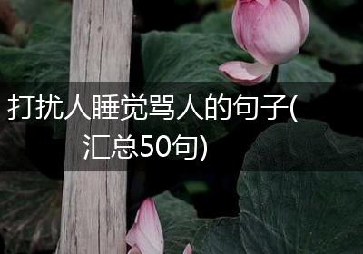 打扰人睡觉骂人的句子(汇总50句)