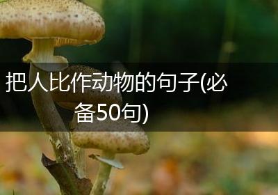 把人比作动物的句子(必备50句)