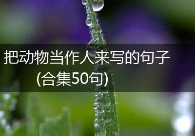 把动物当作人来写的句子(合集50句)