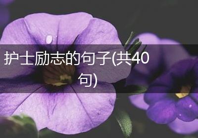 护士励志的句子(共40句)