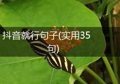 抖音就行句子(实用35句)