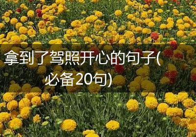 拿到了驾照开心的句子(必备20句)