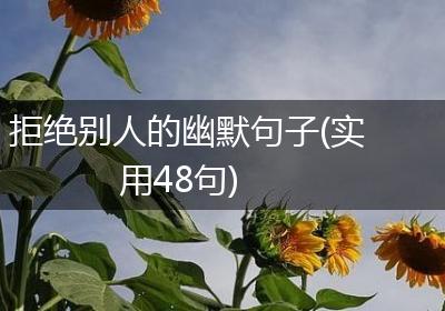 拒绝别人的幽默句子(实用48句)