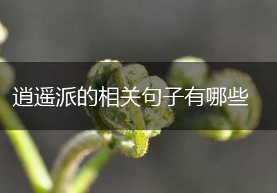 逍遥派的相关句子有哪些