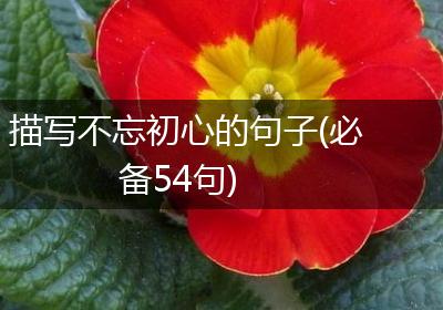 描写不忘初心的句子(必备54句)