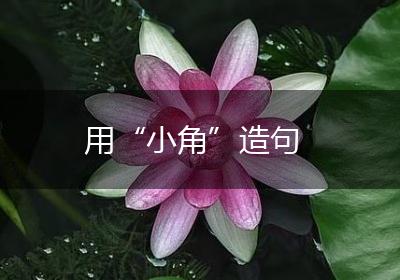 用“小角”造句