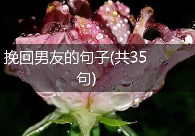 挽回男友的句子(共35句)