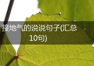 接地气的说说句子(汇总10句)