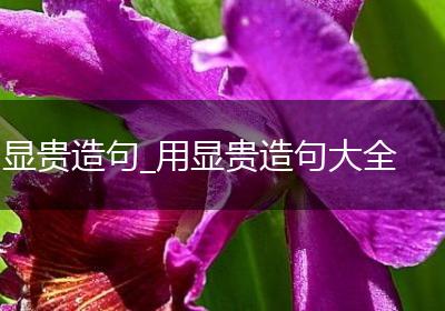 显贵造句_用显贵造句大全