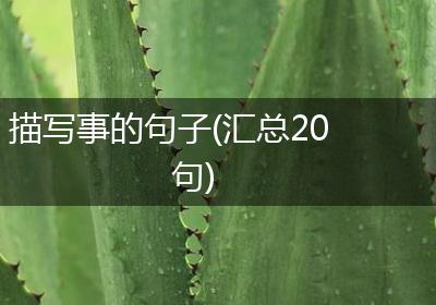 描写事的句子(汇总20句)
