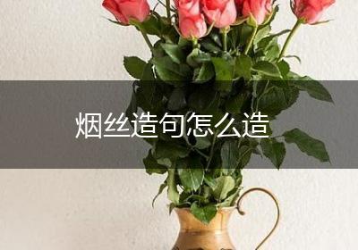烟丝造句怎么造