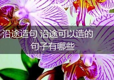 沿途造句 沿途可以造的句子有哪些