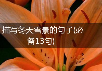 描写冬天雪景的句子(必备13句)
