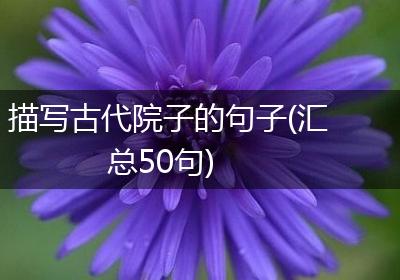 描写古代院子的句子(汇总50句)