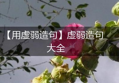 【用虚弱造句】虚弱造句大全