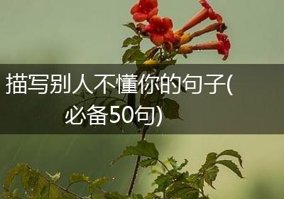 描写别人不懂你的句子(必备50句)
